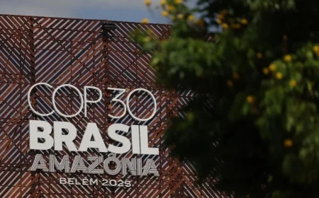 Newsom Positions California as Key Ally at U.N. Climate Talks