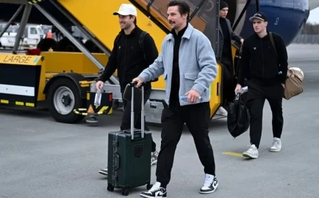 Exclusive Insight: Penguins Thrive in Sweden