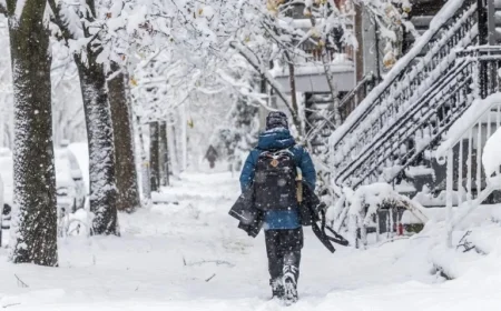 20 cm of Snowfall on November 11: Is This Normal?