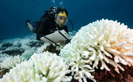 Reports Warn of Unlivable Future as Warming Exceeds Key Limit