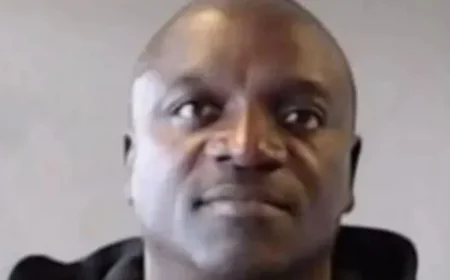Grammy-Nominated Singer Akon, 52, Arrested
