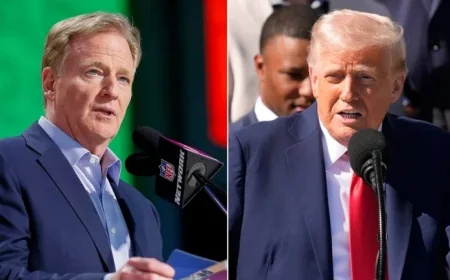 NFL, Goodell Offer Blueprint for Tackling Challenges with Trump