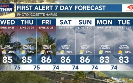 Wind Advisory Issued: Prepare for Strong Trade Winds