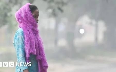 Delhi Combats Air Pollution with Hybrid Schools, Mining Ban