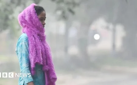 Delhi Fights Pollution: Schools Go Hybrid, Mining Ban Implemented