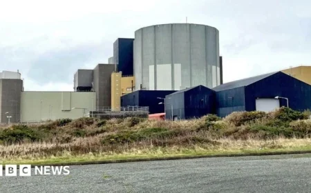 Plans for Wylfa Nuclear Plant Proceed, Boosting Anglesey Job Creation