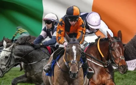 Top Irish Contenders at November Meeting: Emerging Flat Stayer and Cheltenham Runner-Up