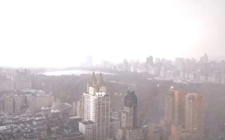 First Snow of the Season Blankets New York and New Jersey