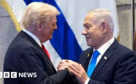 Congress Closes Hemp Farm Bill Loophole with Stricter THC Limits