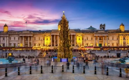 Trafalgar Square Christmas Tree Arrives for 2025 Festive Season