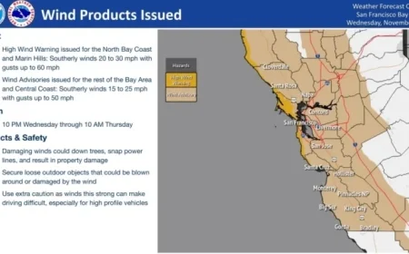 Storm Brings 60 MPH Wind Gusts to Sonoma Coast