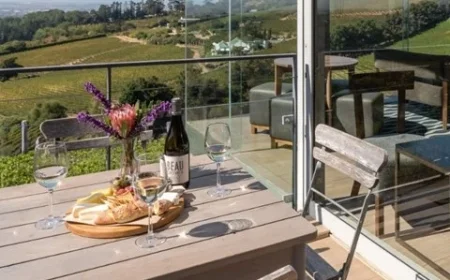 Top Wine Tasting Experiences to Discover in Cape Town