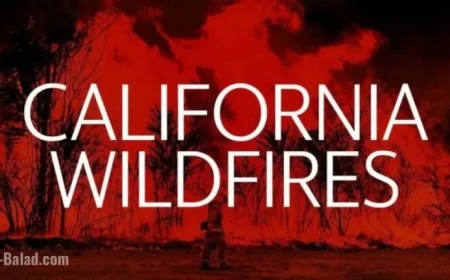 Wildfire Ignites in Los Angeles County, California