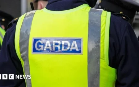 Sinn Féin Expels Member Following Partner’s Far-Right Arrest