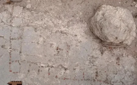 Archaeologists Discover Unique Maya Mosaic Patolli Board in Guatemala