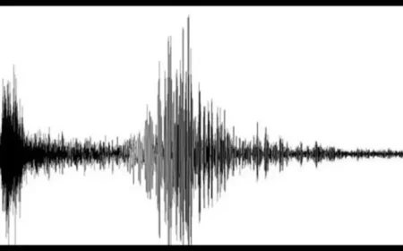 3.6-Magnitude Earthquake Strikes Vallejo