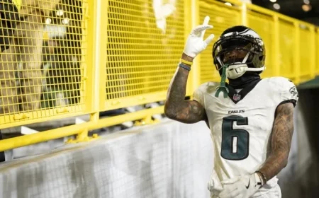 2025 Week 11 Fantasy Football WR Rankings Revealed