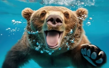 Dow Jones Futures Drop as Tesla, Nvidia, Palantir Stocks Plummet