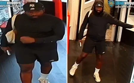 Thief Steals $9,700 in Baseball, Pokémon Cards from Tom Brady’s NYC Store