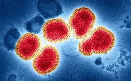 Experts Brace for Uncertain Flu Season with Mismatched Strain and Absent CDC