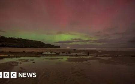 Timelapse Captures Stunning Northern Lights Display Over Coastline