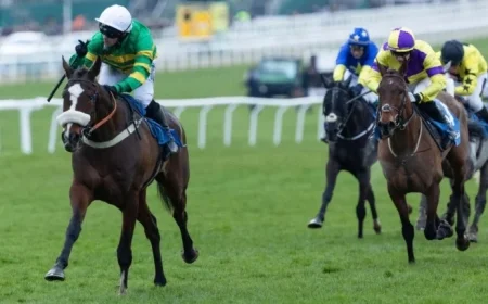 Paddy Power Gold Cup: Expert Timeform Ratings and Final Verdict