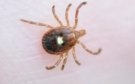 First Alpha-Gal Syndrome Death in N.J. Linked to Tick-Borne Meat Allergy