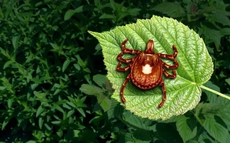 First Fatality Reported from Tick-Induced Meat Allergy