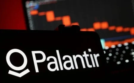 Analyst Cautions on Palantir Stock (PLTR) Despite Robust Quarter