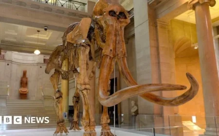 Sir Tom Jones Honored with Museum Mammoth Named After Him