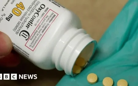 Bankruptcy Judge Approves $7.4 Billion Purdue Pharma Settlement