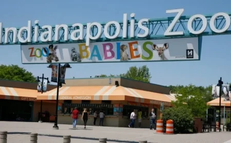 Chimpanzee Escape Triggers Temporary Lockdown at Indianapolis Zoo