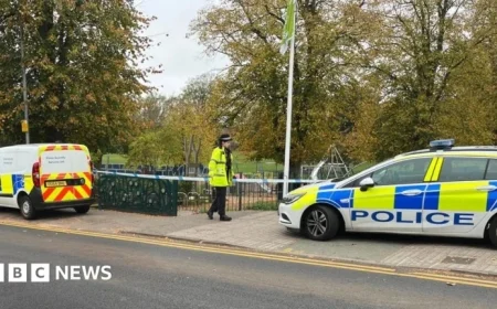 Teen Faces Charges in Watford Playground Stabbing