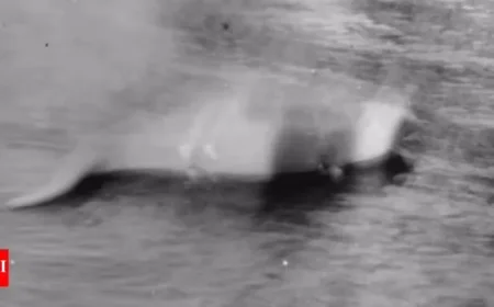 Loch Ness Monster Day: Celebrating 90 Years Since First Legendary Photo