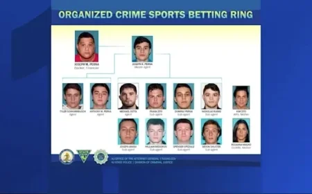 14 Arrested in Multimillion-Dollar Sports Betting Operation