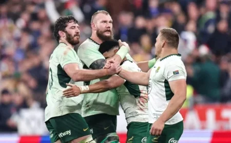 Italy vs South Africa: Live Rugby Scores & Highlights – 15 Nov 2025