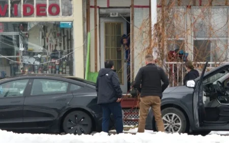 Swastikas in Saint-Barnabé-Sud | Yahia Meddah Deported to Algeria