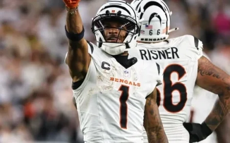 2025 Week 11 Fantasy Football Wide Receiver Rankings