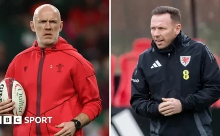 Wales Faces High Stakes for Steve Tandy and Craig Bellamy