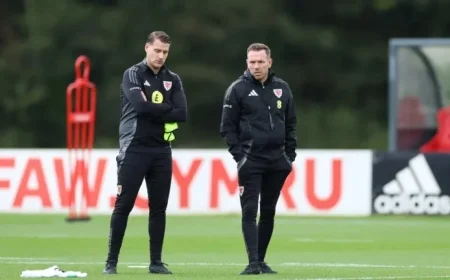 Piet Cremers Appointed Interim Wales Coach: “He Deserves This Moment”