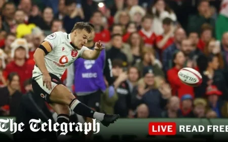 Wales vs Japan Live: Autumn International Score and Updates