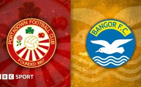 Portadown and Bangor Draw in Thrilling Shamrock Park Clash