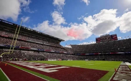 Texas Trooper Removed After Bumping South Carolina Players in Tunnel Incident