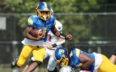 IHSA 2025 State Football Quarterfinal: Full Scores and Highlights