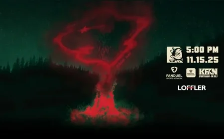 Wild vs. Ducks: Game Preview and Key Matchup Insights