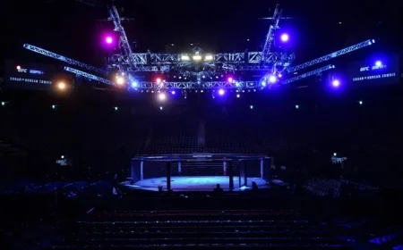 UFC and IBM Launch AI-Driven In-Fight Insights with Unanimous Agreement