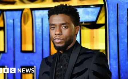 Chadwick Boseman Honored with Hollywood Walk of Fame Star