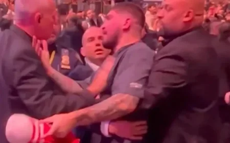 Massive Brawl Erupts at UFC 322 with Danis and Nurmagomedov Involved