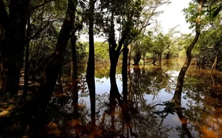 Ecuador’s Constitutional Nature Protections Face New Threats