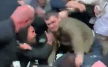 UFC 322: Dillon Danis and ‘John Pork’ Clash in Heated Brawl